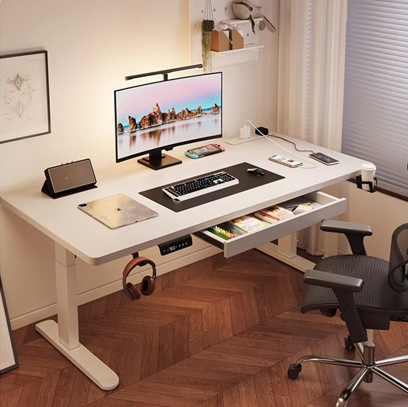Modern Iron Dual Motor Electri - Desk Setup Designer recension och pris