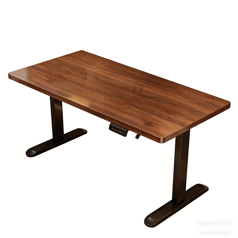 Modern Iron Dual Motor Electri - Desk Setup Designer recension och pris
