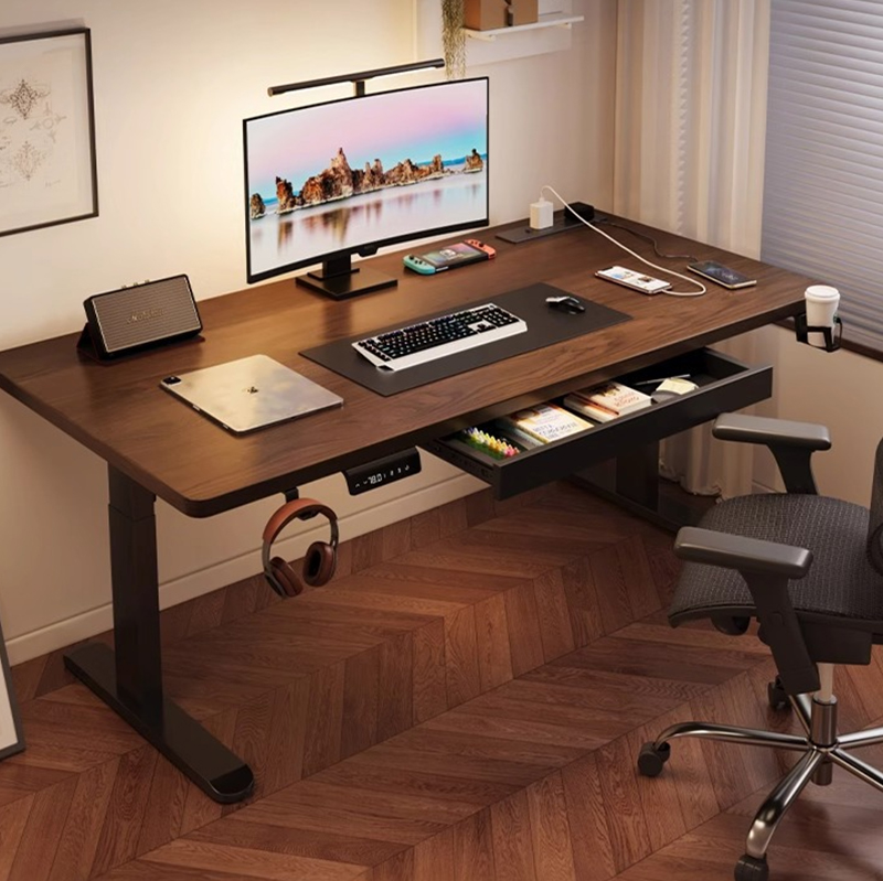 Modern Iron Dual Motor Electri - Desk Setup Designer recension och pris